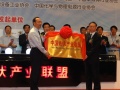 中國光伏產業聯盟成立大會在常州舉行