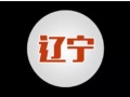 【重磅】40個項目679MW獲遼寧并網指標，另94MW的6個項目未納入