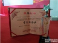 因能三大產(chǎn)品獲評SNEC十大亮點(diǎn) 航天高效電站斬獲吉瓦級金獎！