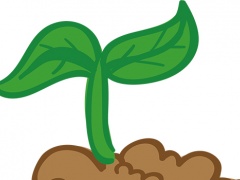 這些地方的戶用光伏或正在覺醒