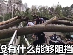 ”山竹“過(guò)后，光伏人的反思~~