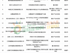 整機、齒輪、軸承、葉片等產業鏈全覆蓋！江蘇這份文件推動風電裝備產業加速騰飛！