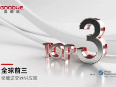 TOP3！固德威儲(chǔ)能逆變器“威”領(lǐng)全球
