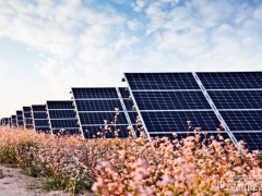 中國華能“嘗鮮” 攜隆基綠能打造高性價比光伏電站