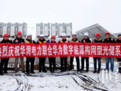全球首次！構網型光儲系統并網性能現場測試順利完成