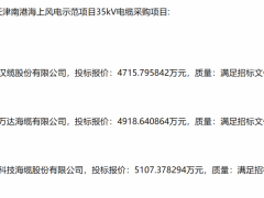 三峽能源204MW海上風電項目候選人公示