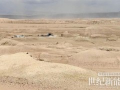 南瑞繼保參與打造青海油田首個微網儲能項目