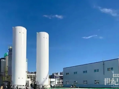 綠氫市場超萬億規(guī)模，海外龍頭堿性電解槽業(yè)績暴增383%