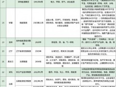 廝殺激烈!五大六小 VS 地方能源集團,誰占主場?