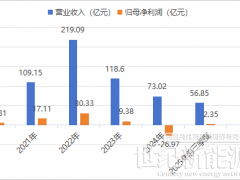 狂賺5億!無錫前首富走出“至暗時刻”
