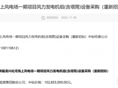 中標結果公布!三峽海上風電項目