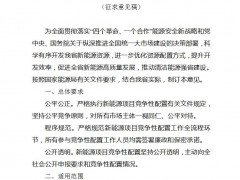 遼寧省新能源項目競爭性配置指導意見印發(fā)