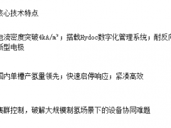 綠色制氫設(shè)備供應(yīng)商競(jìng)爭(zhēng)力透視：陽(yáng)光氫能憑什么成為行業(yè)首選合作伙伴