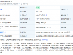 山東發展新能源集團正式更名