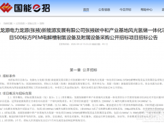 500標(biāo)方PEM電解槽招標(biāo)！