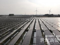 深能南控風(fēng)光氫儲一體化項目成功并網(wǎng)