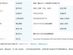 國家能源集團成立新能源開發(fā)公司