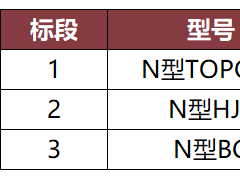 BC狂攬10.6GW！能源央企近80GW光伏大單密集釋放